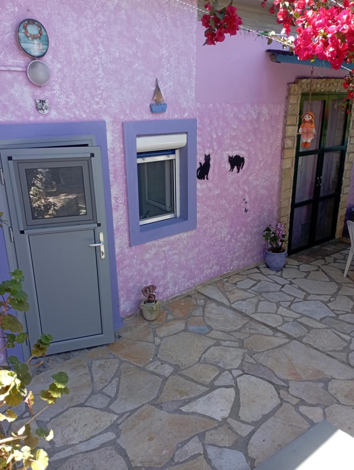 La Gatta Studio Gaios Rum bild